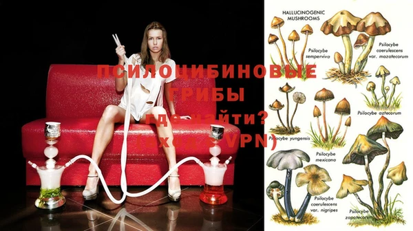 мдпв Богданович