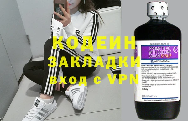 мдпв Богданович