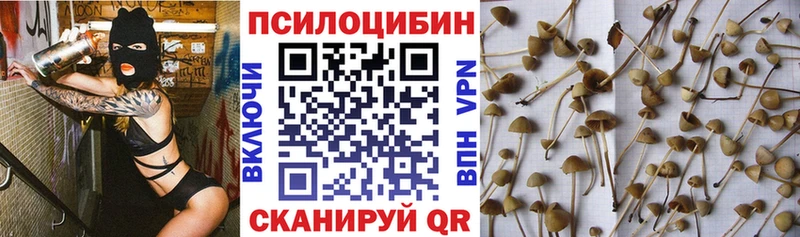 Псилоцибиновые грибы Cubensis  купить наркотики цена  Балашиха 